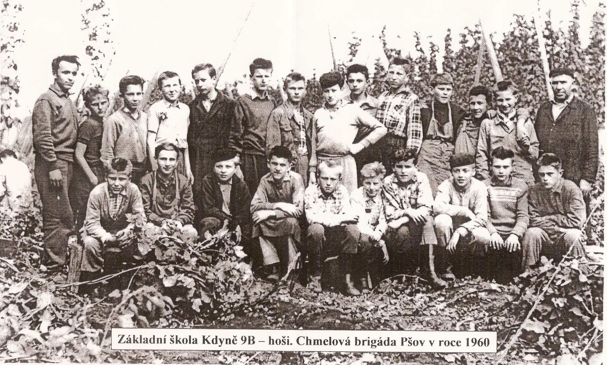 skenovat0011.jpg